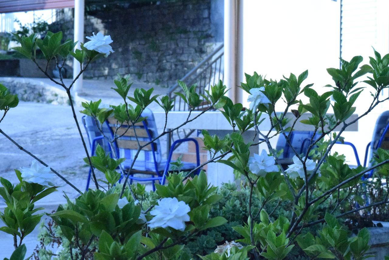 Apartment S&M Tivat Zewnętrze zdjęcie